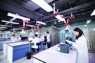 专访悦刻CEO汪莹 以技术为桨，向世界发出中国声音